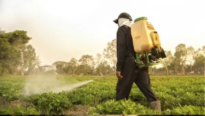 AgriInput